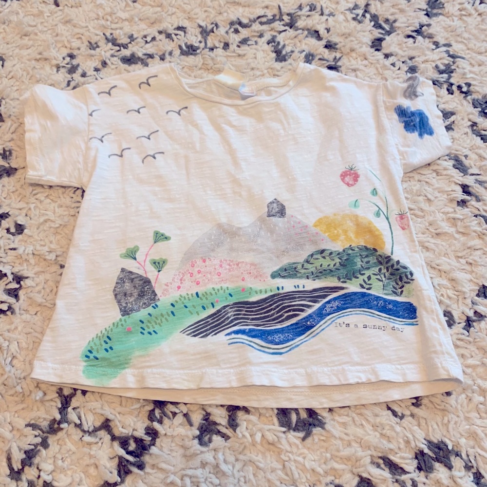 Zara girls shirt
